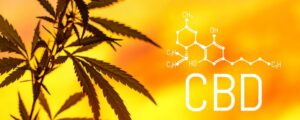 CBD-Molekül und Pflanze