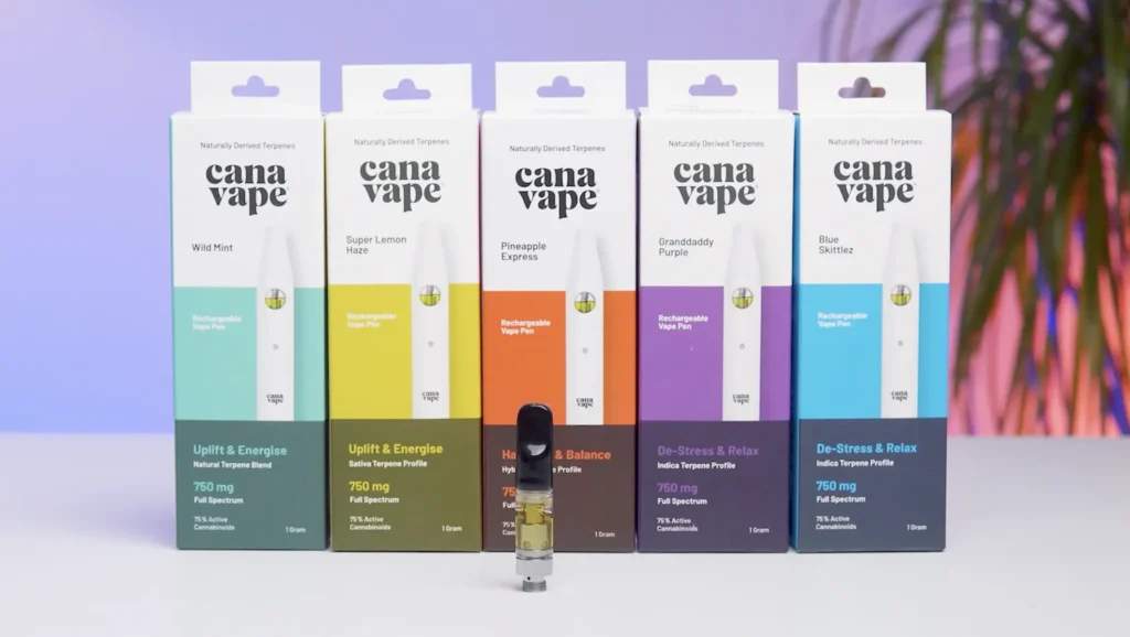 Canavape CBD Disposable Vape Impresses in MIST’s Detailed Review