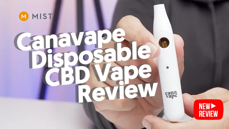 Canavape Desechable CBD Vape Revisión