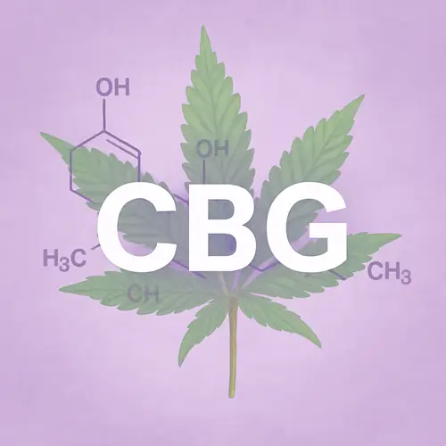 CBG - це каннабігерол, менш відомий, але потужний канабіноїд.