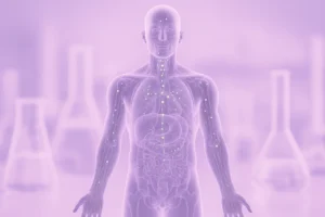 Het cannabinoïde systeem begrijpen - een beginnersgids