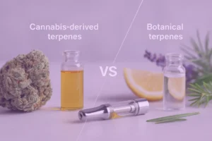 Compreender a diferença entre os cartuchos CDT e os terpenos botânicos para os entusiastas do sabor do Reino Unido