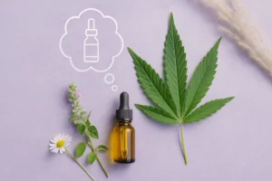 Understanding the Entourage Effect How CBD Works with Terpenes and Cannabinoids