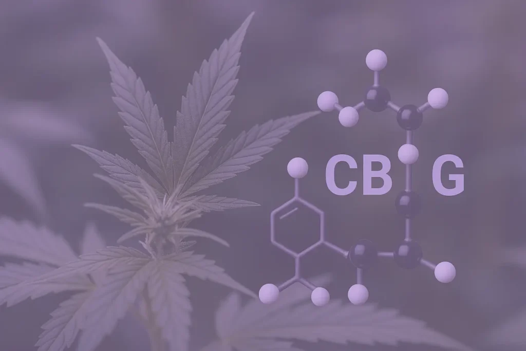 CBG пояснив неоспіваний канабіноїд у формулах Canavape