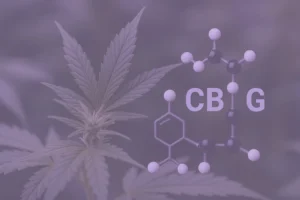 CBG пояснив неоспіваний канабіноїд у формулах Canavape