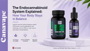 The Endocannabinoid System ECS Explained How Your Body Stays in Balance