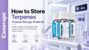 How to Store and Preserve Terpenes