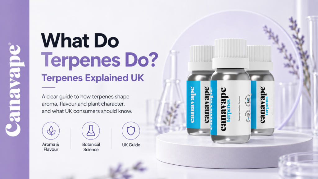 What do terpenes do uk guide