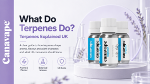 What Do Terpenes Do?