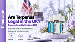 Are Terpenes Legal in the UK?
