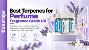 Best Terpenes for Perfume & Fragrance