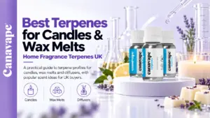 Best Terpenes for Candles & Wax Melts