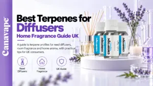 Les meilleurs terpènes pour les diffuseurs et les parfums d'intérieur