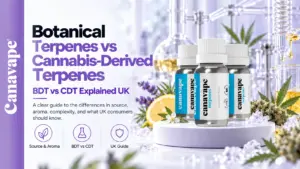 Terpenos botânicos versus terpenos derivados da canábis