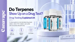 I terpeni risultano positivi in un test antidroga?