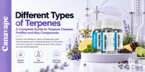 Diferentes tipos de terpenos