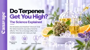 Os terpenos provocam uma sensação de euforia?