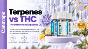 Terpenos vs. THC